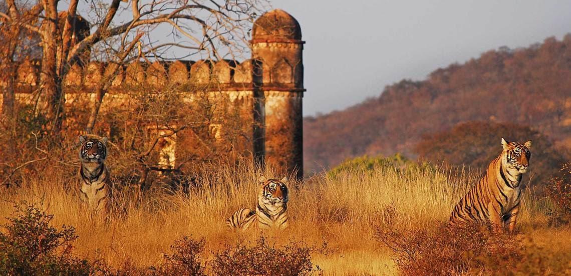 Glimpse of Rajasthan and Delhi 